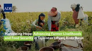 Harvesting Hope: Advancing Farmer Livelihoods and Food Security in Tajikistan&rsquo;s Pyanj River Basin