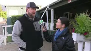 Doug O'Neill Talks About Shane's Girlfriend - the Horse