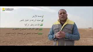 مراحل إنتاج البصل الأخضر - المرحلة الأولى (مرحلة خدمة الأرض)