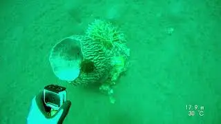 Bali 2024 Day 1 Dive 2
