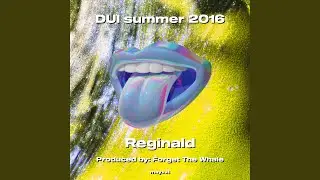 DUI summer 2016