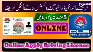 Driving licence online apply l DLS Driving Licence Sindh me kaise online banaye l Driving licence 