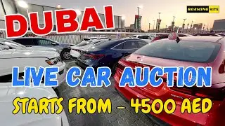 Dubai Live Car Auction | Dubai Cheap Car Market | Dubai Cheap Car Auction