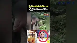 భరితేగించిన వృద్ద కీచకుడి బాగోతం | TDP Leader | CVR NEWS