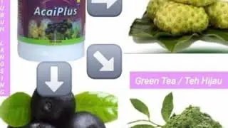 Acai Plus Nasa