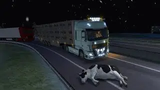 Moving cows to a new location 🚚🐄 Was it easy? Which scene did you like? Want part two?