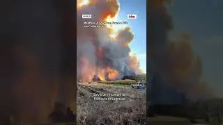 Wildfire in southern France kills one, injures nine
