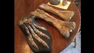 Dinosaur fossil-rich area in Montana at heart of public vs. private debate