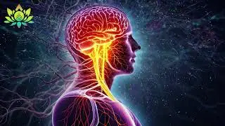 Activate Vagus Nerve | Deep Trauma Healing, Stress Reduction, Fear Release, And Mental Detox