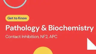 Contact Inhibition, NF2, APC