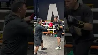 &iexcl;Ins&oacute;lito Ch&aacute;vez Jr y su hermano Omar entrenando juntos!