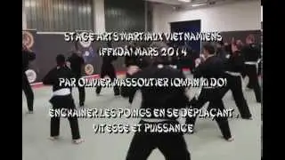 Stage Qwan Ki Do Clamart 2014