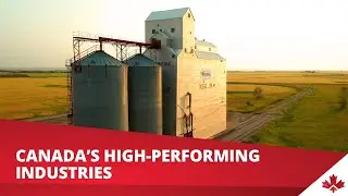 Canada&rsquo;s high-performing industries