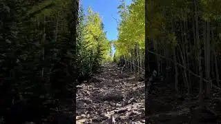 Hancock Peak Trail Dixie National Forest - near Panguitch, Utah - September 2024