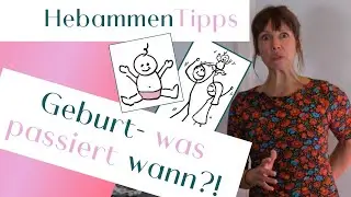 Alle Phasen der Geburt