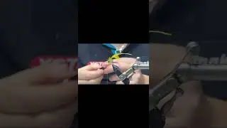Picric Yellow Wet Mayfly &mdash; A Deadly Trout Fly Pattern