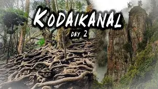 🏞️ Kodaikanal Nearby Sightseeing | Guna Caves, Pillar Rocks & More