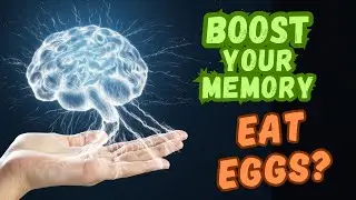 Why Eating Eggs Helps Your Brain