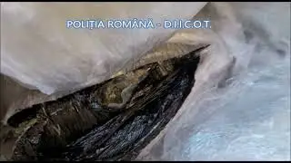 PRINS &Icirc;N FLAGRANT DELICT CU PESTE 10 KG. DE CANNABIS, DISIMULATE &Icirc;NTR-UN COLET