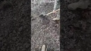 Land mine explosion