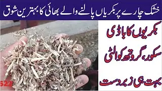 27|  Goat Farming on Dry Metter | خشک چارے پر بکریاں پالنا |Khushak Chary Per Bakrian Palna