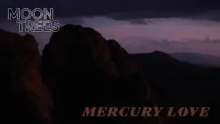 Mercury Love - Moon Trees (Official Audio)