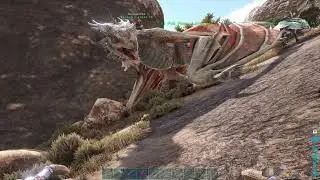 Ark neuer stream
