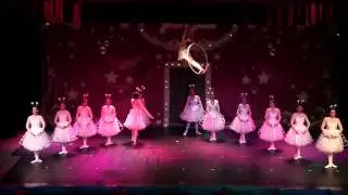 Espetáculo Circo - Alegria