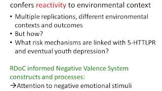 Dr. Ben Hankin at UNC Neuroscience of Youth Depression Conference