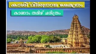 Kasi Viswanathar Temple | തെങ്കാശി കാശി വിശ്വനാഥ ക്ഷേത്രം|