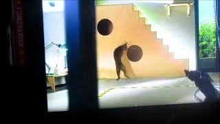 Cat technology
