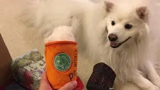 Обзор распаковки Barkbox, ноябрь 2017 г.