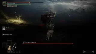 ELDEN RING vs Malenia pure melee (DEX) build