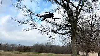 Beautiful maverick, three hovering with tree in the background #shorts