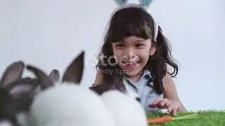 invideo ai 1080 Bunny's Number Adventure  Learn to Count 2024 10 27