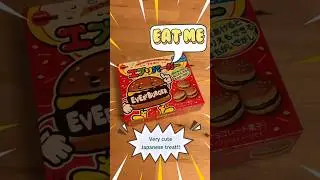 Cute Japanese treat &ldquo;EVERY BURGER &ldquo; #japan #bourbon
