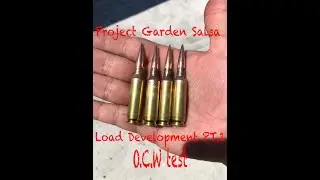 6.5CM 130gr RDF Optimal Charge Weight test with H4350 & Reloader 16
