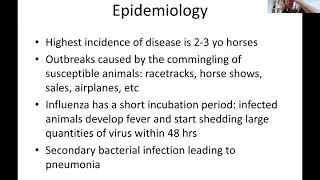 equine influenza