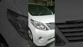D'scan auto detailing
