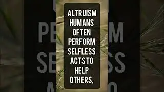 The Power of Selfless Acts #Altruism #psychology  #actsofkindness  #socialharmony #psychologyfacts