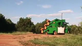Ag dipatment