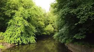 A PLEASANT WALK ON THE KELVINWAY | GLASGOW | WEST END | KELVINBRIDGE | 4K