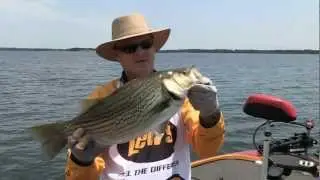Lake Palestine TX Hybrid Striper Fishing SNEAK PEEK PREVIEW