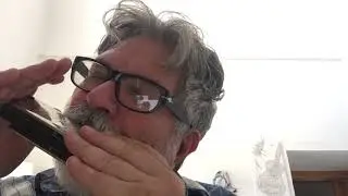 HARMONICAS MOMENT di Donatello Pisanello