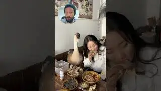 criar ganzos como mascotas en la casa!