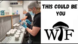 What The Fungus Mentorship Opportunity - Learn On My Farm For Free