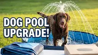 Rywell Dog Pool for Dogs with Splash Sprinkler