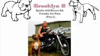 Straight From The Alpha Dog (Part 3)