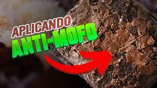 COMO AUMENTAR A VALIDADE DO BROWNIE?