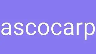 Ascocarp Definition & Meaning